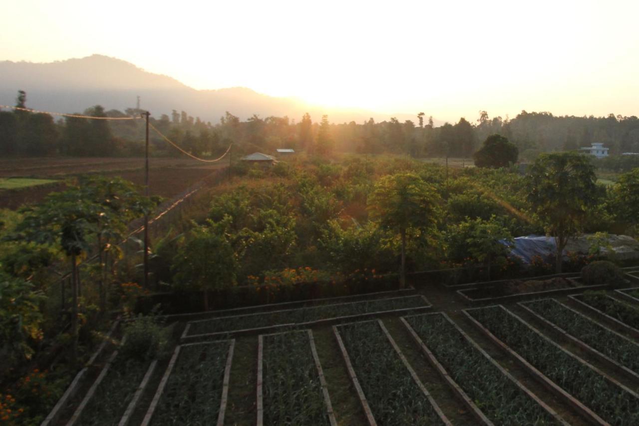 Forest Side Farm - Homestay At Kotabagh Near Nainital And Jim Corbett Kültér fotó